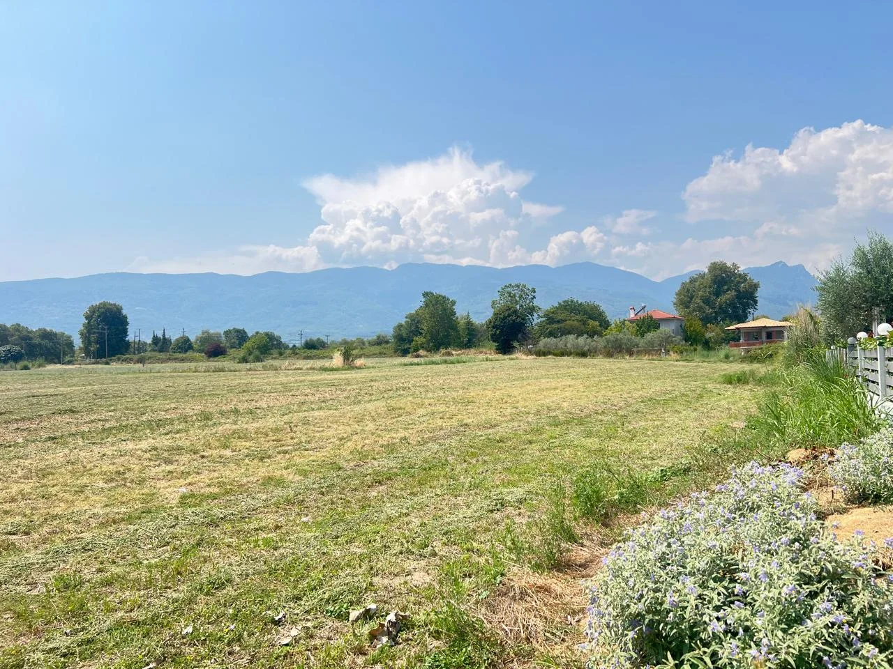 Πωλούνται Αγροτεμάχια 300 τ.μ. στο Ποσειδών Παλλάς – 150 μ. από τη Θάλασσα